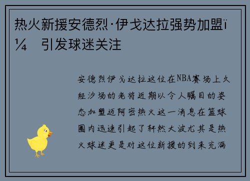 热火新援安德烈·伊戈达拉强势加盟，引发球迷关注